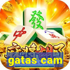 gatas cam